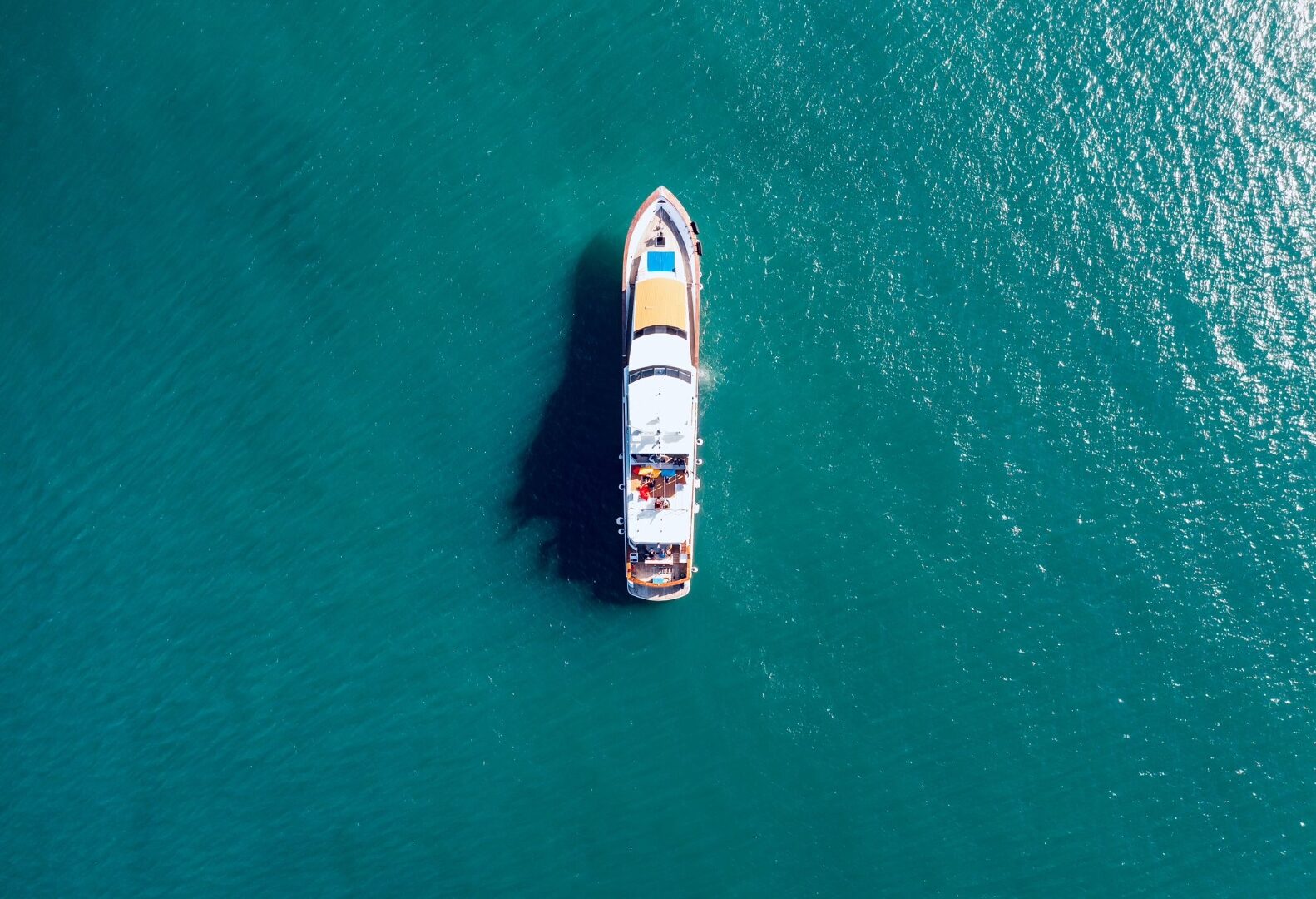 Aerial view of Sea Tiger from directly above