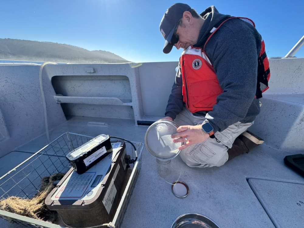 California Sets a Template for Measuring Microplastics — and the Price of Not Knowing