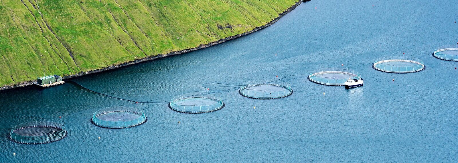 ILO adopts first global safety code for a 130-million-tonne aquaculture sector