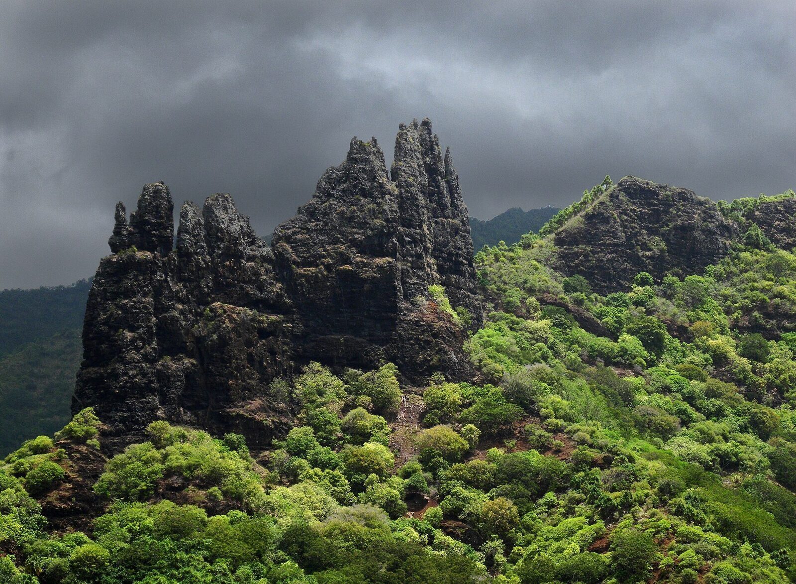 French Polynesia locks 520,000 sq km of ocean into IUCN Category 1 in single largest 30x30 contribution to date