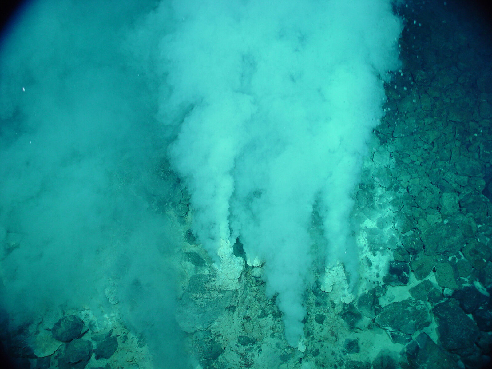 Microplastics Hit the Deep Sea’s ‘Oasis’ — and Investors Are Losing the Excuse of Ignorance