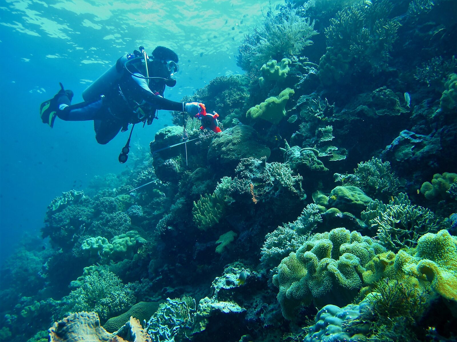 Indonesia taps OceanX for marine-park baselines — and IUCN warns climate is now the dominant threat to nature heritage