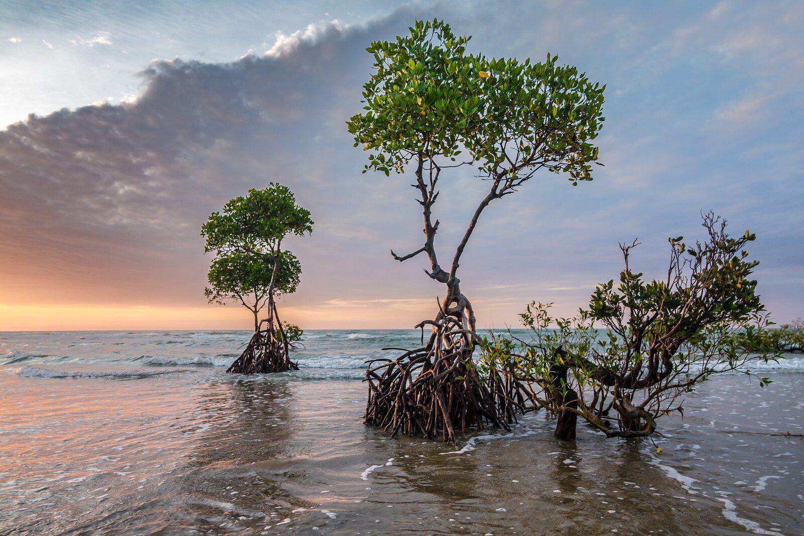 ADB puts $6 billion behind Southeast Asia’s blue-economy test