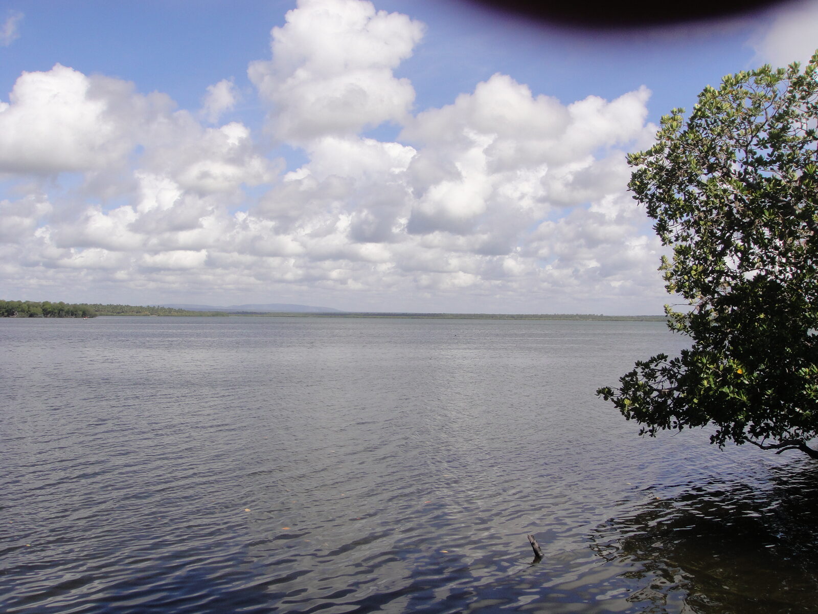 Nairobi Convention’s 15 decisions test whether the Western Indian Ocean can fund the follow-through
